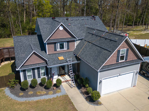 Best Asphalt Shingles Roofing  in Hamilton, AL