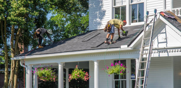 Best Roof Ventilation Installation  in Hamilton, AL